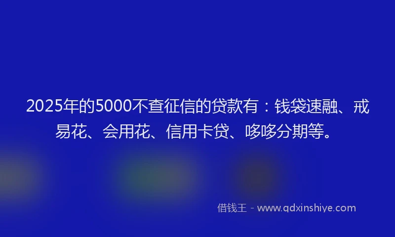 2025年的5000不查征信的贷款有：钱袋速融、戒易花、会用花、信用卡贷、哆哆分期等。