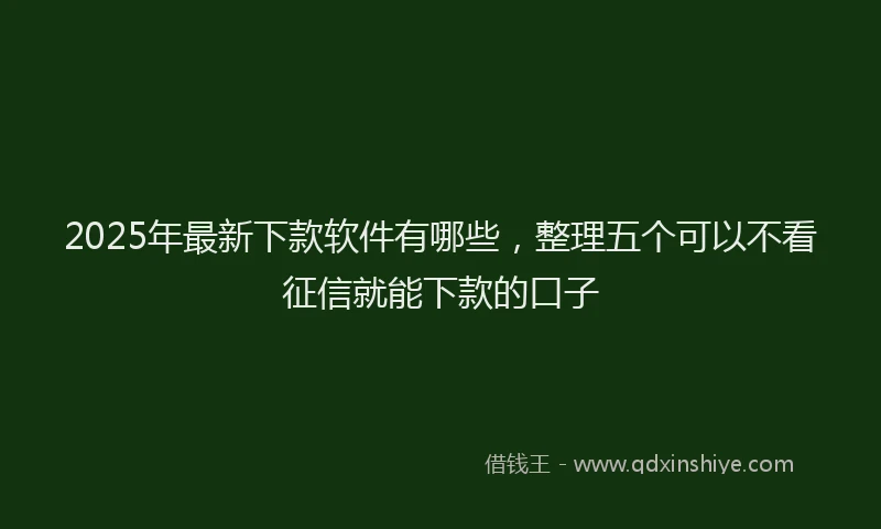 2025年最新下款软件有哪些，整理五个可以不看征信就能下款的口子