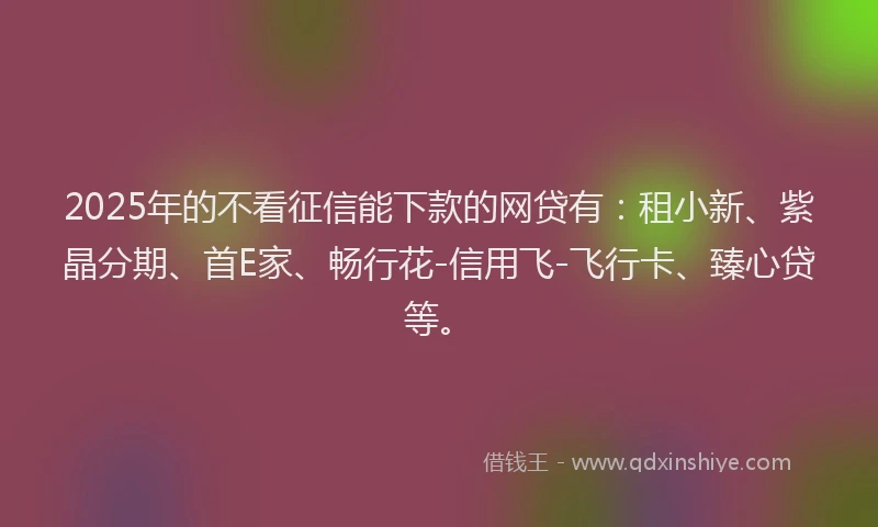 2025年的不看征信能下款的网贷有：租小新、紫晶分期、首E家、畅行花-信用飞-飞行卡、臻心贷等。