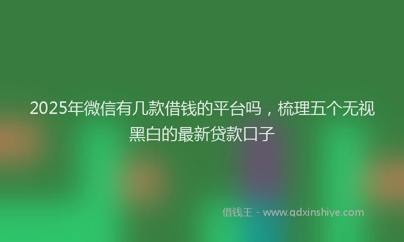 2025年微信有几款借钱的平台吗，梳理五个无视黑白的最新贷款口子