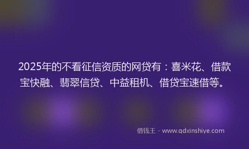 2025年的不看征信资质的网贷有：喜米花、借款宝快融、翡翠信贷、中益租机、借贷宝速借等。