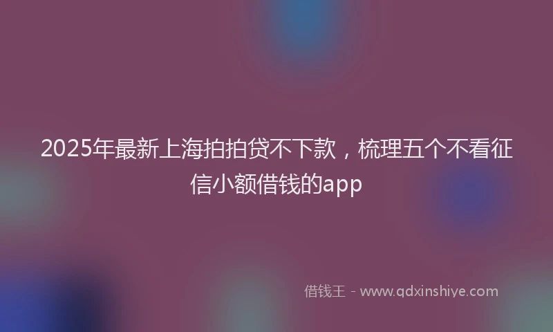 2025年最新上海拍拍贷不下款，梳理五个不看征信小额借钱的app