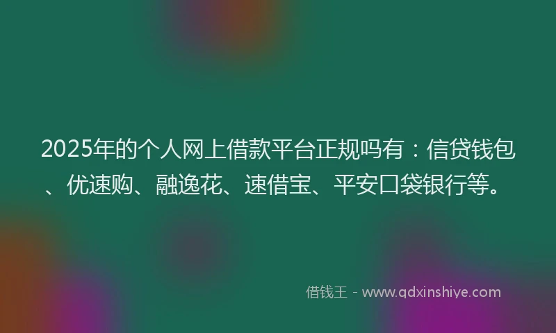 2025年的个人网上借款平台正规吗有：信贷钱包、优速购、融逸花、速借宝、平安口袋银行等。