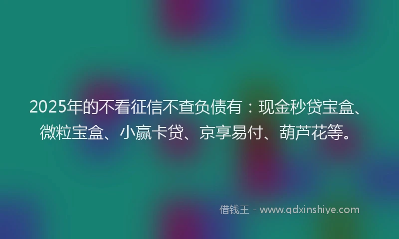 2025年的不看征信不查负债有：现金秒贷宝盒、微粒宝盒、小赢卡贷、京享易付、葫芦花等。