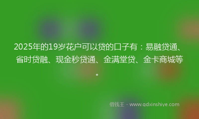 2025年的19岁花户可以贷的口子有：易融贷通、省时贷融、现金秒贷通、金满堂贷、金卡商城等。