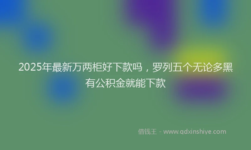 2025年最新万两柜好下款吗，罗列五个无论多黑有公积金就能下款