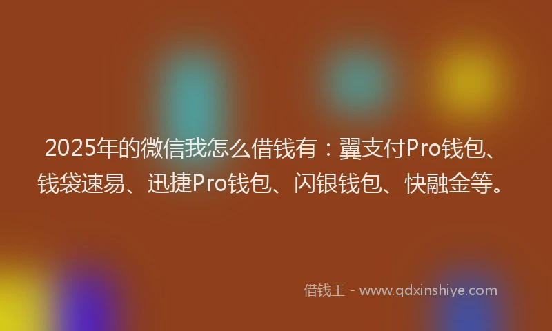 2025年的微信我怎么借钱有：翼支付Pro钱包、钱袋速易、迅捷Pro钱包、闪银钱包、快融金等。