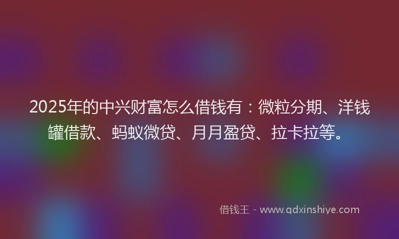 2025年的中兴财富怎么借钱有：微粒分期、洋钱罐借款、蚂蚁微贷、月月盈贷、拉卡拉等。