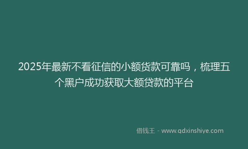2025年最新不看征信的小额货款可靠吗，梳理五个黑户成功获取大额贷款的平台