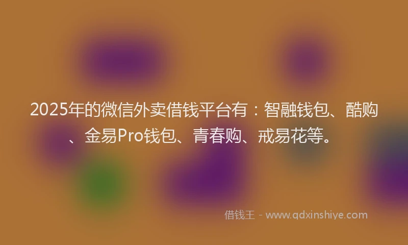 2025年的微信外卖借钱平台有：智融钱包、酷购、金易Pro钱包、青春购、戒易花等。