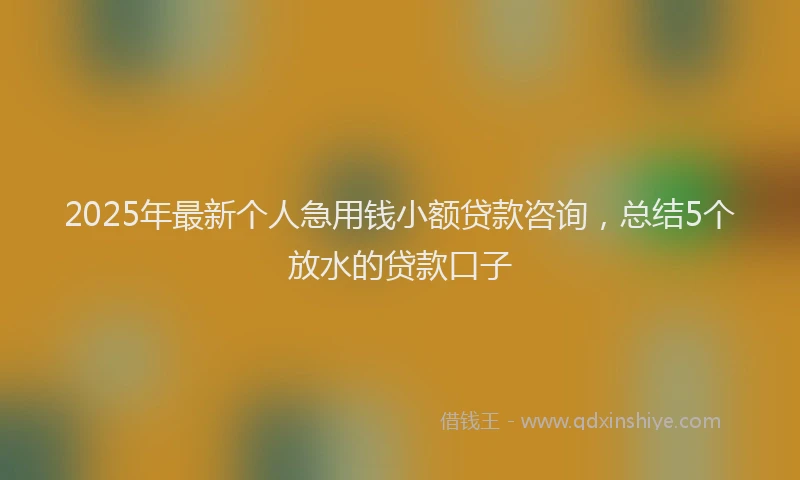 2025年最新个人急用钱小额贷款咨询，总结5个放水的贷款口子