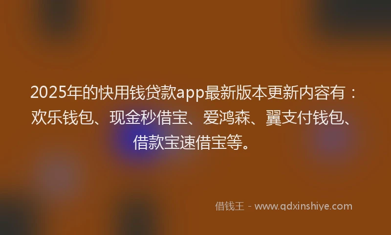 2025年的快用钱贷款app最新版本更新内容有：欢乐钱包、现金秒借宝、爱鸿森、翼支付钱包、借款宝速借宝等。