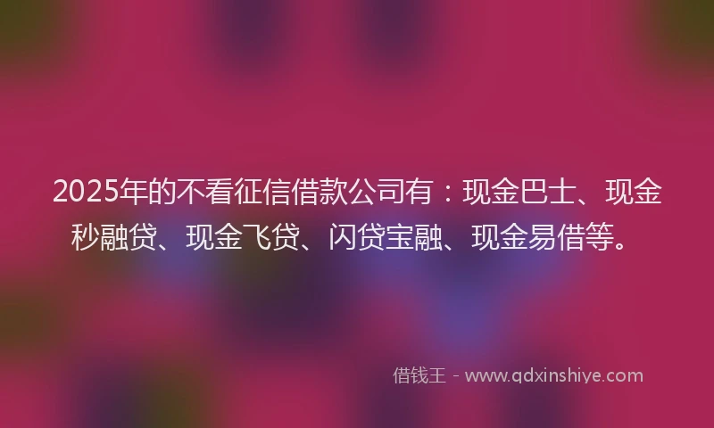 2025年的不看征信借款公司有：现金巴士、现金秒融贷、现金飞贷、闪贷宝融、现金易借等。