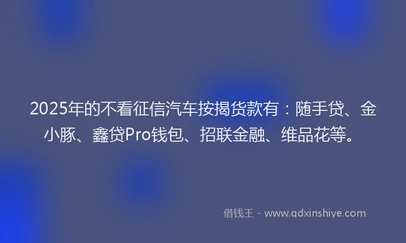2025年的不看征信汽车按揭货款有：随手贷、金小豚、鑫贷Pro钱包、招联金融、维品花等。