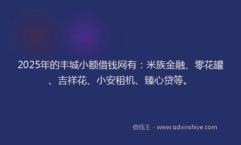 2025年的丰城小额借钱网有：米族金融、零花罐、吉祥花、小安租机、臻心贷等。