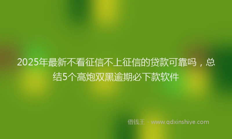 2025年最新不看征信不上征信的贷款可靠吗，总结5个高炮双黑逾期必下款软件