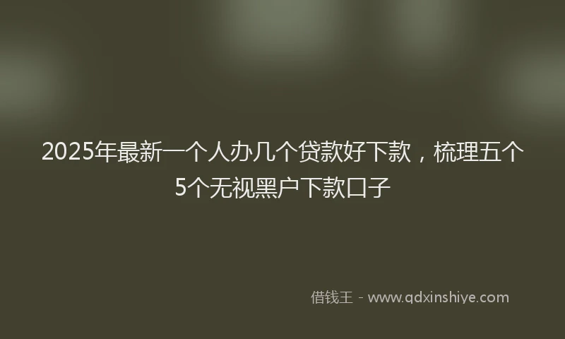 2025年最新一个人办几个贷款好下款，梳理五个5个无视黑户下款口子