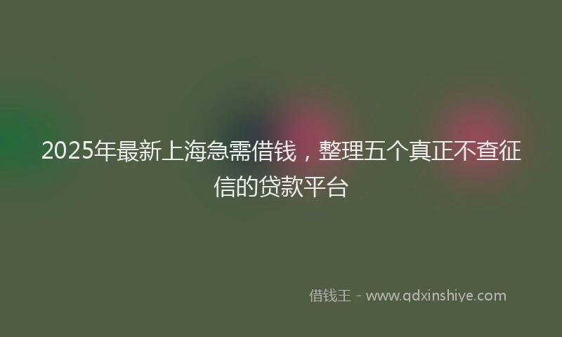 2025年最新上海急需借钱，整理五个真正不查征信的贷款平台