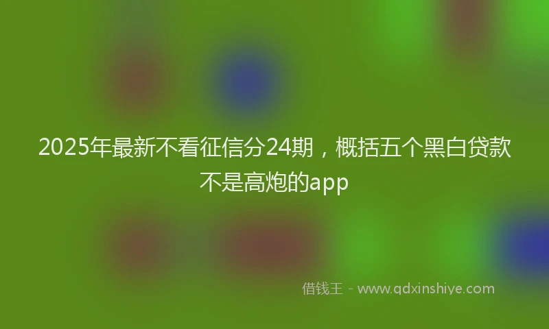 2025年最新不看征信分24期，概括五个黑白贷款不是高炮的app