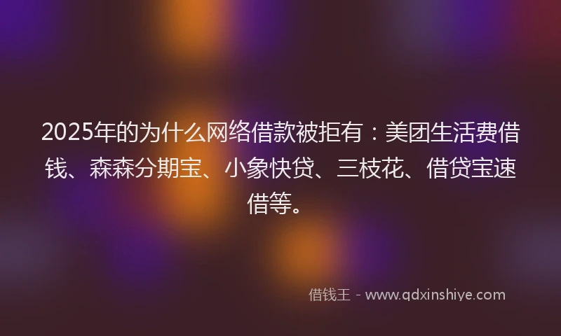 2025年的为什么网络借款被拒有：美团生活费借钱、森森分期宝、小象快贷、三枝花、借贷宝速借等。