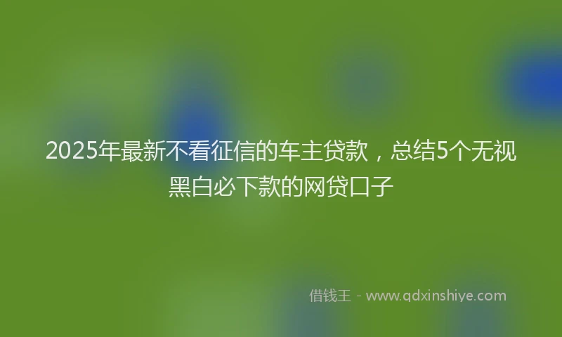 2025年最新不看征信的车主贷款，总结5个无视黑白必下款的网贷口子
