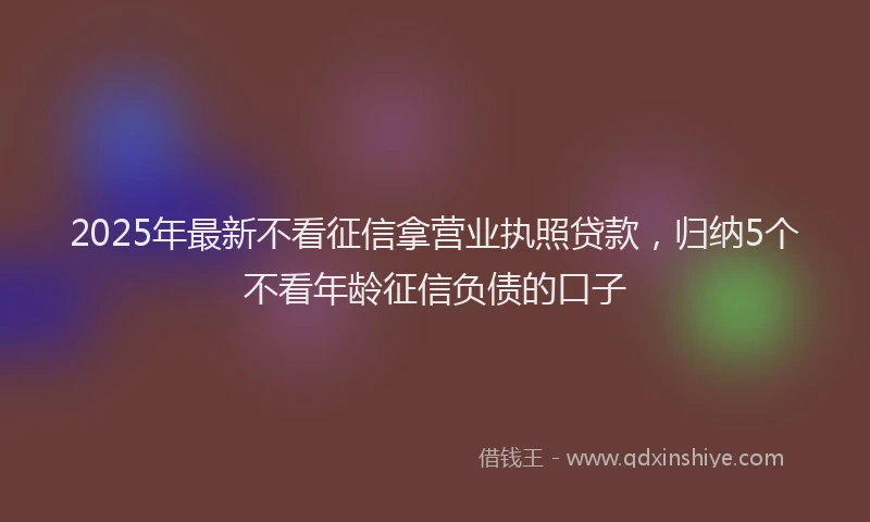 2025年最新不看征信拿营业执照贷款，归纳5个不看年龄征信负债的口子