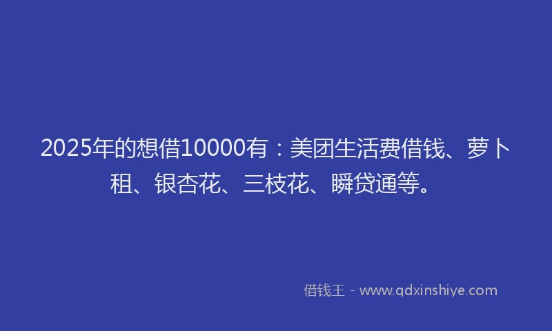 2025年的想借10000有：美团生活费借钱、萝卜租、银杏花、三枝花、瞬贷通等。