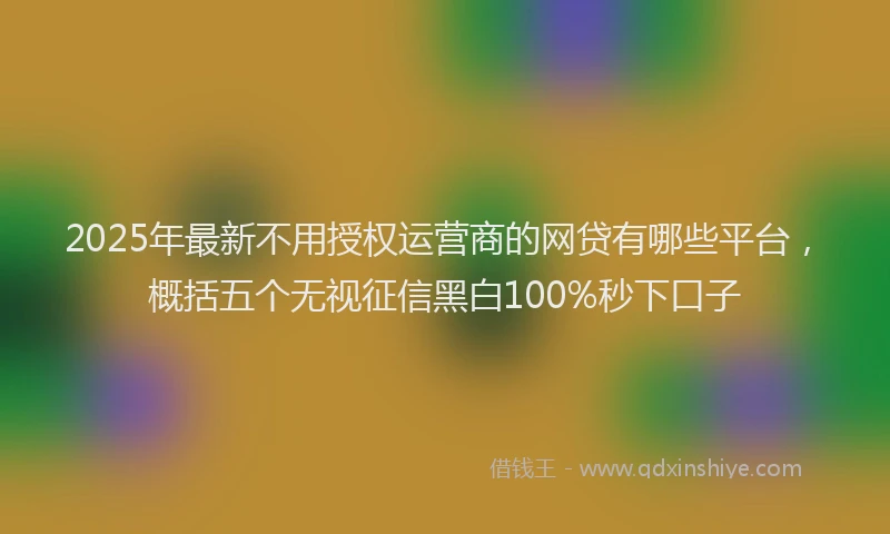 2025年最新不用授权运营商的网贷有哪些平台，概括五个无视征信黑白100%秒下口子