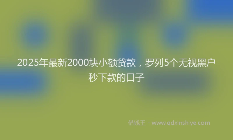 2025年最新2000块小额贷款，罗列5个无视黑户秒下款的口子