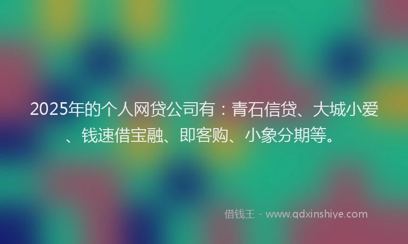2025年的个人网贷公司有：青石信贷、大城小爱、钱速借宝融、即客购、小象分期等。