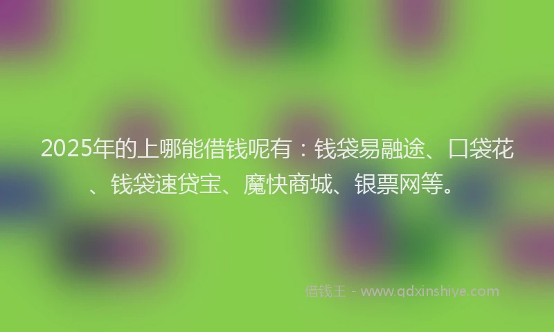 2025年的上哪能借钱呢有：钱袋易融途、口袋花、钱袋速贷宝、魔快商城、银票网等。