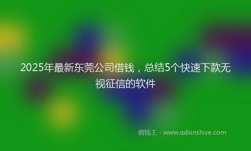 2025年最新东莞公司借钱，总结5个快速下款无视征信的软件