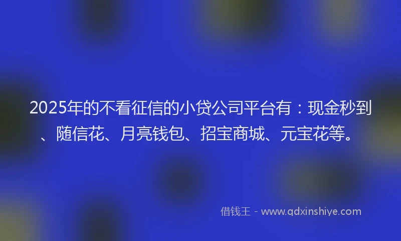 2025年的不看征信的小贷公司平台有：现金秒到、随信花、月亮钱包、招宝商城、元宝花等。