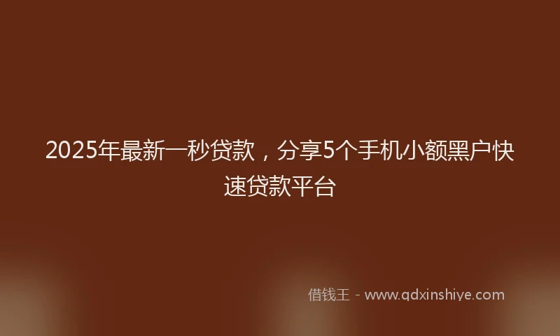 2025年最新一秒贷款，分享5个手机小额黑户快速贷款平台