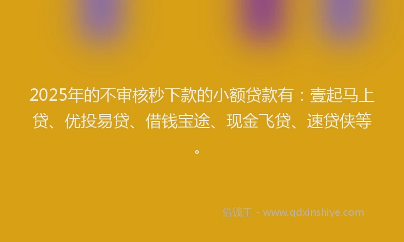 2025年的不审核秒下款的小额贷款有：壹起马上贷、优投易贷、借钱宝途、现金飞贷、速贷侠等。