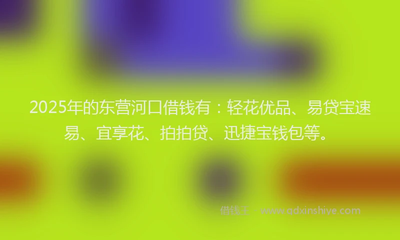 2025年的东营河口借钱有：轻花优品、易贷宝速易、宜享花、拍拍贷、迅捷宝钱包等。