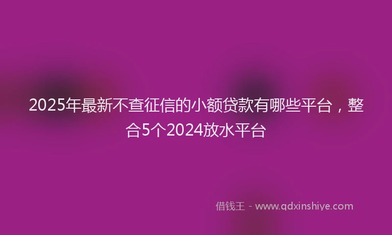 2025年最新不查征信的小额贷款有哪些平台，整合5个2024放水平台