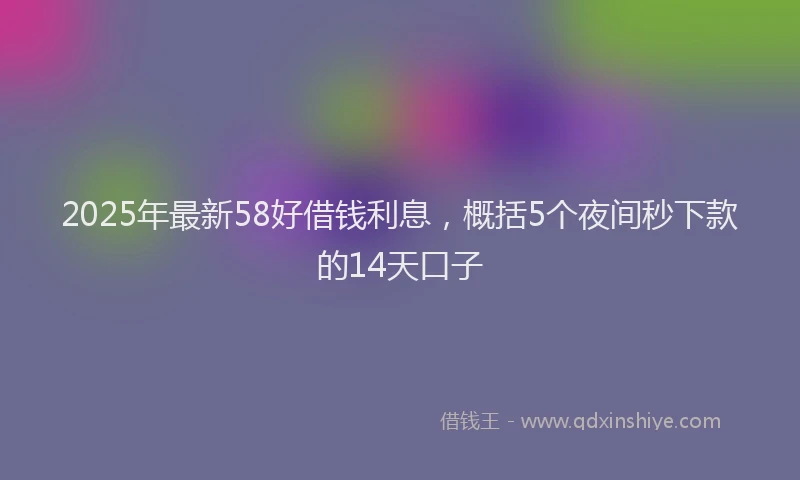 2025年最新58好借钱利息，概括5个夜间秒下款的14天口子