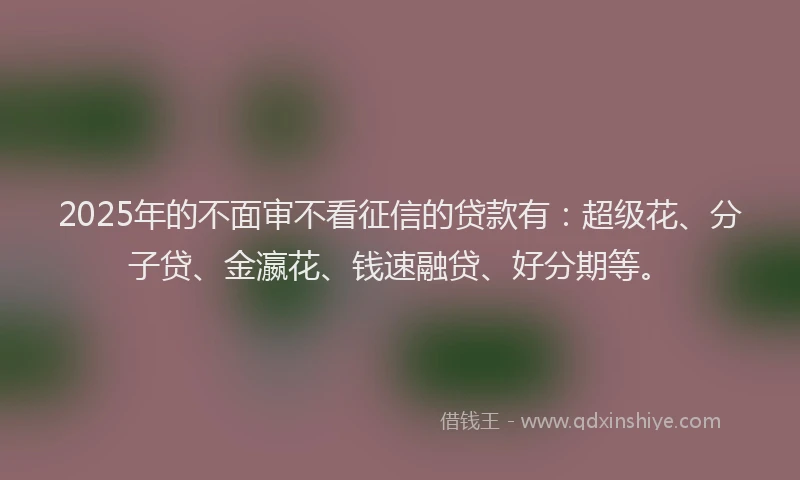 2025年的不面审不看征信的贷款有：超级花、分子贷、金瀛花、钱速融贷、好分期等。
