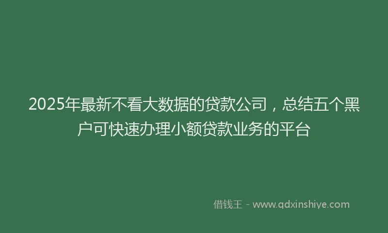 2025年最新不看大数据的贷款公司，总结五个黑户可快速办理小额贷款业务的平台