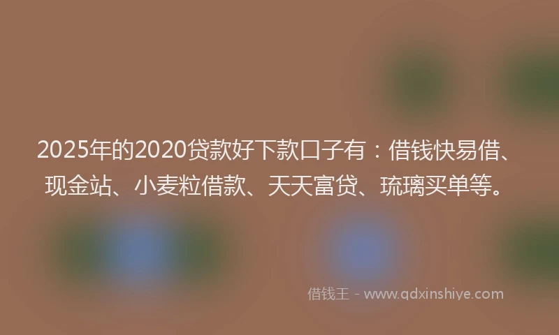 2025年的2020贷款好下款口子有：借钱快易借、现金站、小麦粒借款、天天富贷、琉璃买单等。
