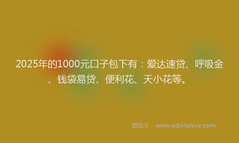 2025年的1000元口子包下有：爱达速贷、呼吸金、钱袋易贷、便利花、天小花等。