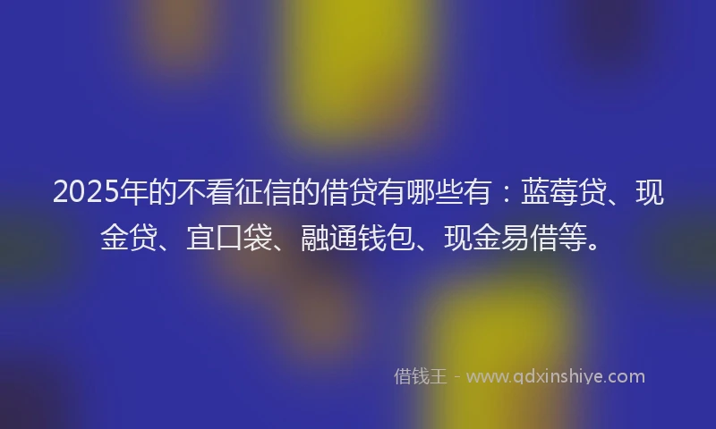 2025年的不看征信的借贷有哪些有：蓝莓贷、现金贷、宜口袋、融通钱包、现金易借等。