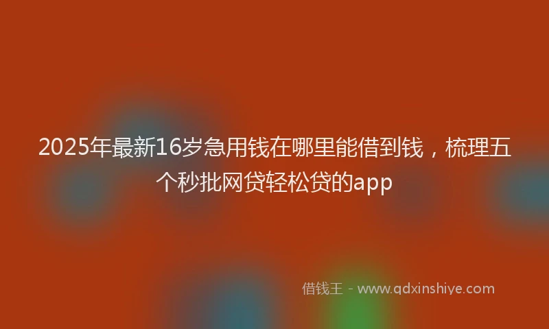 2025年最新16岁急用钱在哪里能借到钱，梳理五个秒批网贷轻松贷的app