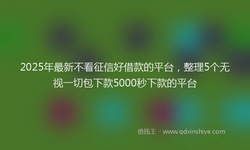 2025年最新不看征信好借款的平台，整理5个无视一切包下款5000秒下款的平台