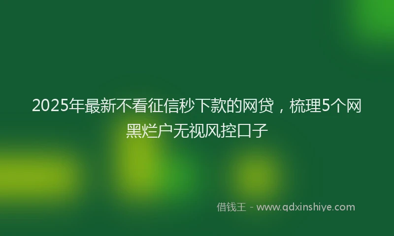 2025年最新不看征信秒下款的网贷，梳理5个网黑烂户无视风控口子