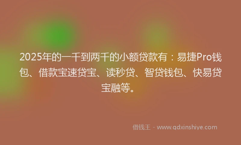 2025年的一千到两千的小额贷款有：易捷Pro钱包、借款宝速贷宝、读秒贷、智贷钱包、快易贷宝融等。