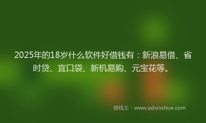 2025年的18岁什么软件好借钱有：新浪易借、省时贷、宜口袋、新机易购、元宝花等。