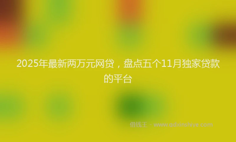 2025年最新两万元网贷，盘点五个11月独家贷款的平台