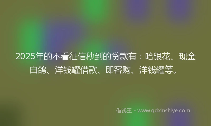 2025年的不看征信秒到的贷款有：哈银花、现金白鸽、洋钱罐借款、即客购、洋钱罐等。